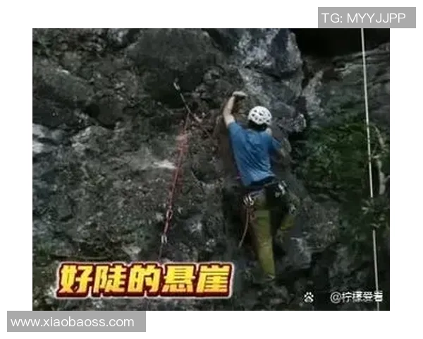 武汉攀岩队的意识觉醒与团队精神探讨聚焦攀岩运动的未来发展