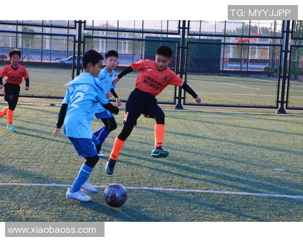 永和足球的崛起与发展探索如何推动地方体育文化的繁荣与团结